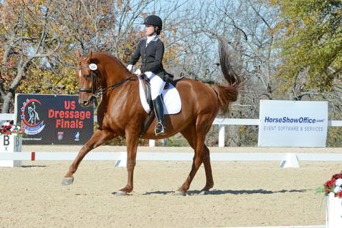 HHB-DressageFinals-11-8-13-0638-DDeRosaPhoto