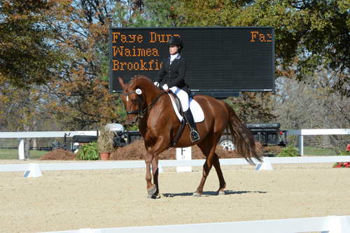 HHB-DressageFinals-11-8-13-0644-DDeRosaPhoto