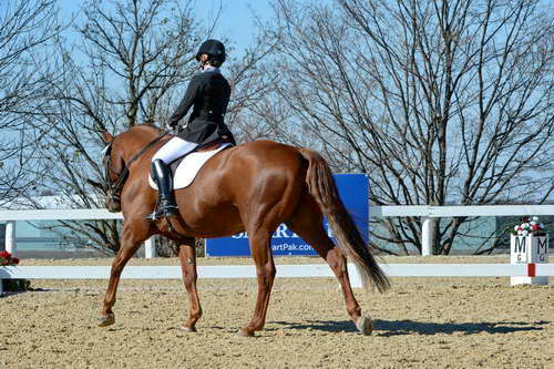 HHB-DressageFinals-11-8-13-0653-DDeRosaPhoto