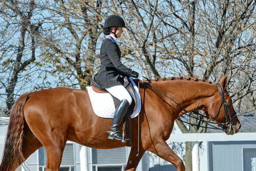 HHB-DressageFinals-11-8-13-0655-DDeRosaPhoto