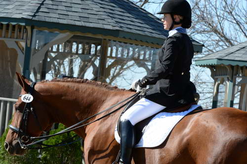 HHB-DressageFinals-11-8-13-0675-DDeRosaPhoto