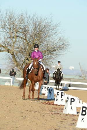 HHB-DressageFinals-11-9-13-2110-DDeRosaPhoto