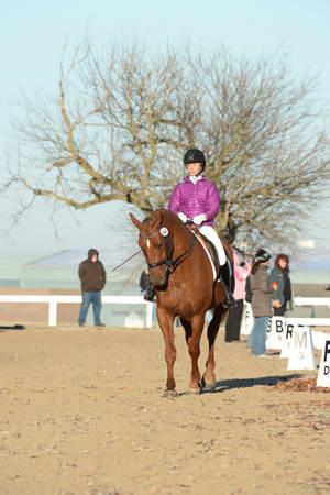 HHB-DressageFinals-11-9-13-2111-DDeRosaPhoto