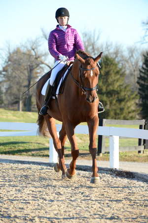 HHB-DressageFinals-11-9-13-2125-DDeRosaPhoto