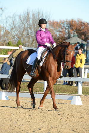 HHB-DressageFinals-11-9-13-2135-DDeRosaPhoto