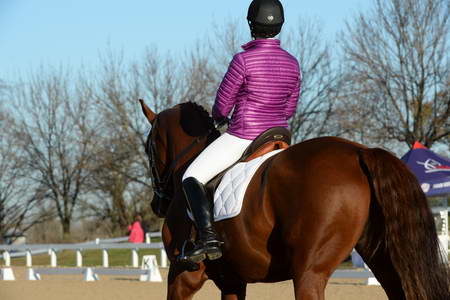 HHB-DressageFinals-11-9-13-2139-DDeRosaPhoto