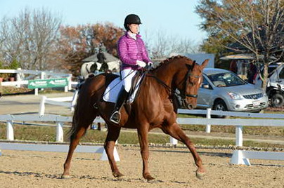 HHB-DressageFinals-11-9-13-2148-DDeRosaPhoto