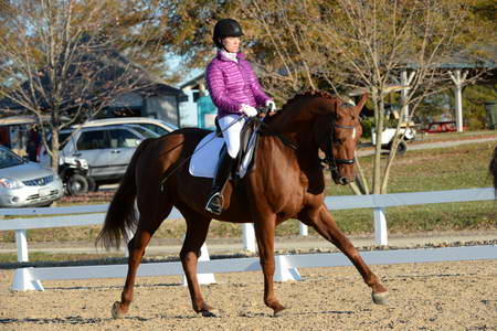 HHB-DressageFinals-11-9-13-2150-DDeRosaPhoto