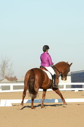 HHB-DressageFinals-11-9-13-2151-DDeRosaPhoto