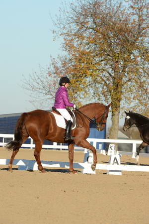 HHB-DressageFinals-11-9-13-2153-DDeRosaPhoto