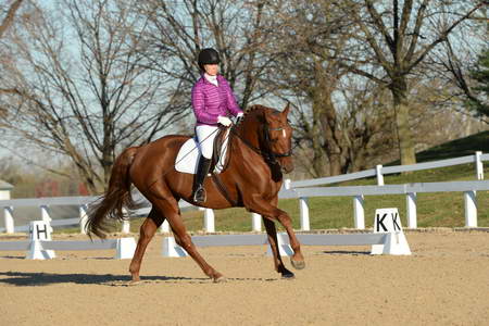 HHB-DressageFinals-11-9-13-2156-DDeRosaPhoto