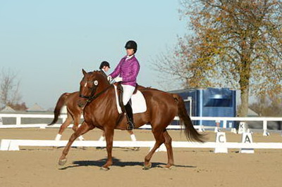 HHB-DressageFinals-11-9-13-2175-DDeRosaPhoto