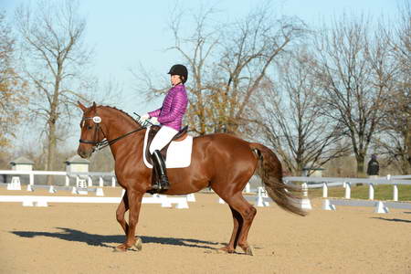 HHB-DressageFinals-11-9-13-2178-DDeRosaPhoto