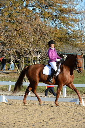 HHB-DressageFinals-11-9-13-2188-DDeRosaPhoto