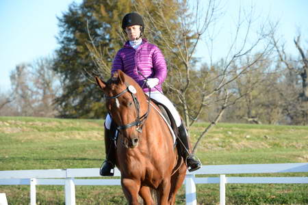 HHB-DressageFinals-11-9-13-2189-DDeRosaPhoto