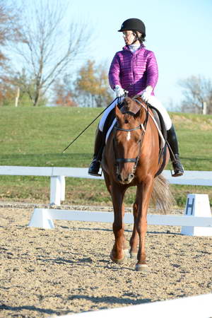 HHB-DressageFinals-11-9-13-2194-DDeRosaPhoto