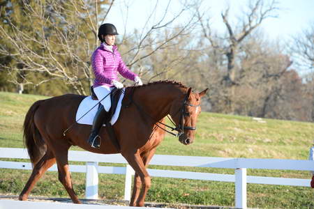 HHB-DressageFinals-11-9-13-2199-DDeRosaPhoto