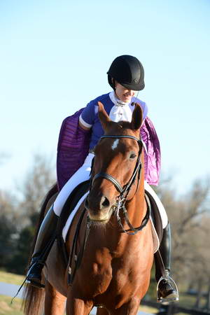 HHB-DressageFinals-11-9-13-2201-DDeRosaPhoto