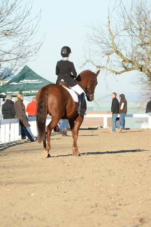 HHB-DressageFinals-11-9-13-2212-DDeRosaPhoto