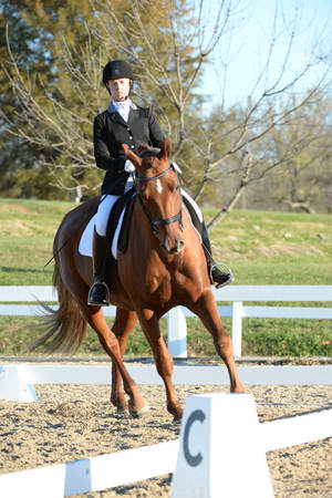 HHB-DressageFinals-11-9-13-2219-DDeRosaPhoto