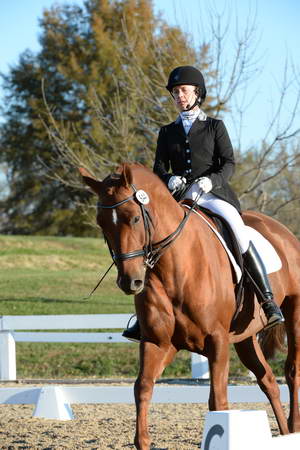 HHB-DressageFinals-11-9-13-2220-DDeRosaPhoto