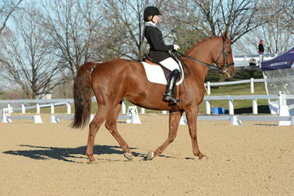 HHB-DressageFinals-11-9-13-2221-DDeRosaPhoto