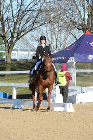 HHB-DressageFinals-11-9-13-2228-DDeRosaPhoto