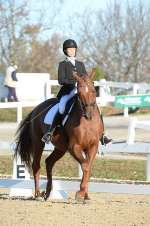 HHB-DressageFinals-11-9-13-2232-DDeRosaPhoto