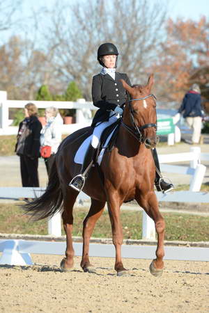 HHB-DressageFinals-11-9-13-2233-DDeRosaPhoto