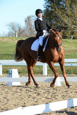 HHB-DressageFinals-11-9-13-2238-DDeRosaPhoto