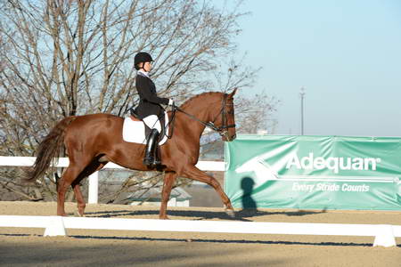 HHB-DressageFinals-11-9-13-2248-DDeRosaPhoto