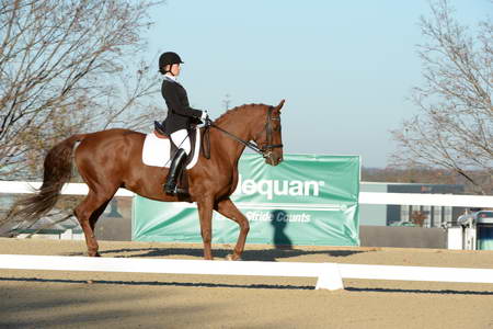 HHB-DressageFinals-11-9-13-2249-DDeRosaPhoto