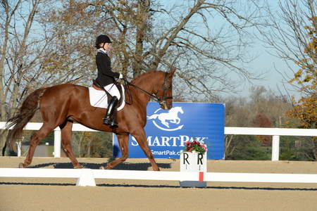 HHB-DressageFinals-11-9-13-2250-DDeRosaPhoto