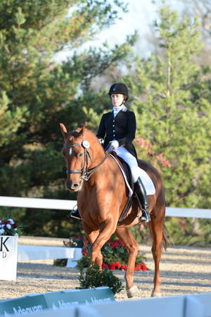 HHB-DressageFinals-11-9-13-2253-DDeRosaPhoto