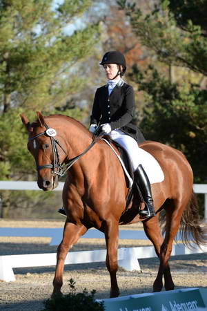 HHB-DressageFinals-11-9-13-2254-DDeRosaPhoto