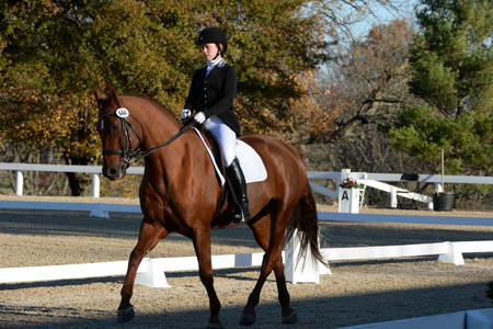 HHB-DressageFinals-11-9-13-2255-DDeRosaPhoto