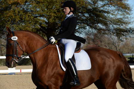 HHB-DressageFinals-11-9-13-2256-DDeRosaPhoto