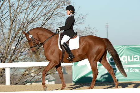 HHB-DressageFinals-11-9-13-2258-DDeRosaPhoto