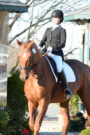 HHB-DressageFinals-11-9-13-2260-DDeRosaPhoto