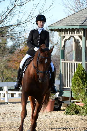 HHB-DressageFinals-11-9-13-2261-DDeRosaPhoto