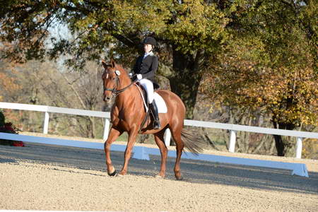 HHB-DressageFinals-11-9-13-2263-DDeRosaPhoto