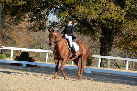 HHB-DressageFinals-11-9-13-2264-DDeRosaPhoto