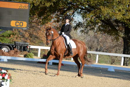 HHB-DressageFinals-11-9-13-2265-DDeRosaPhoto