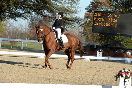 HHB-DressageFinals-11-9-13-2267-DDeRosaPhoto