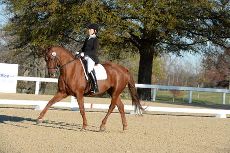 HHB-DressageFinals-11-9-13-2268-DDeRosaPhoto