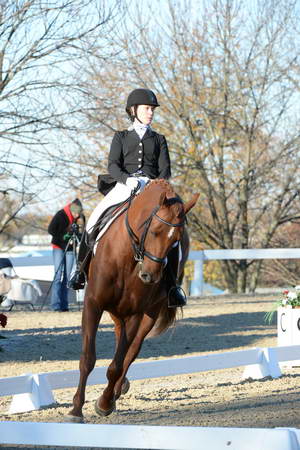 HHB-DressageFinals-11-9-13-2275-DDeRosaPhoto