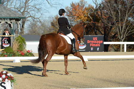 HHB-DressageFinals-11-9-13-2276-DDeRosaPhoto