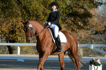 HHB-DressageFinals-11-9-13-2281-DDeRosaPhoto