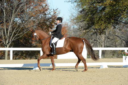 HHB-DressageFinals-11-9-13-2283-DDeRosaPhoto