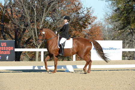 HHB-DressageFinals-11-9-13-2284-DDeRosaPhoto